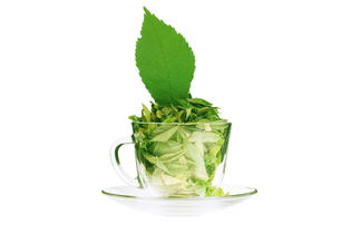 绿茶什么品种的茶最好